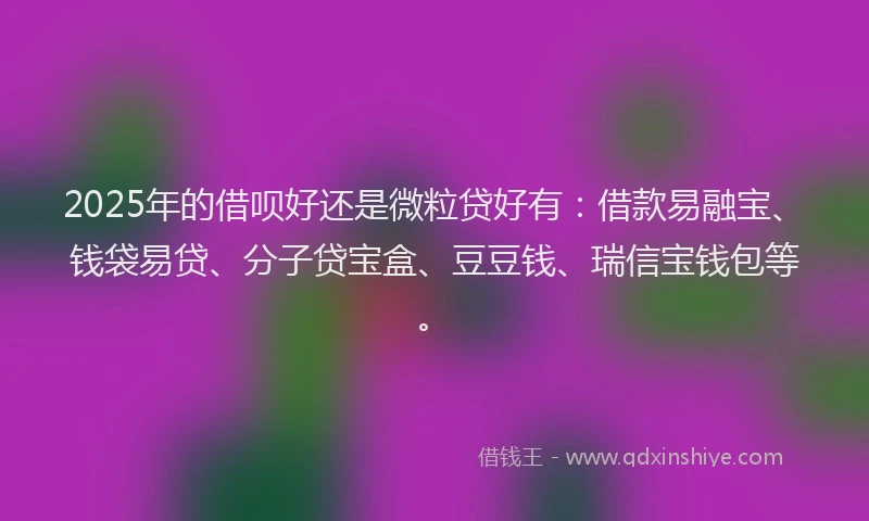 2025年的借呗好还是微粒贷好有：借款易融宝、钱袋易贷、分子贷宝盒、豆豆钱、瑞信宝钱包等。