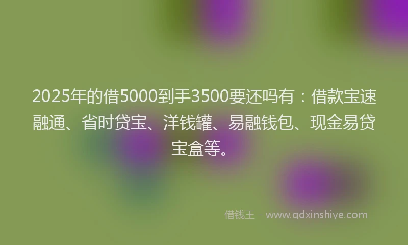 2025年的借5000到手3500要还吗有：借款宝速融通、省时贷宝、洋钱罐、易融钱包、现金易贷宝盒等。
