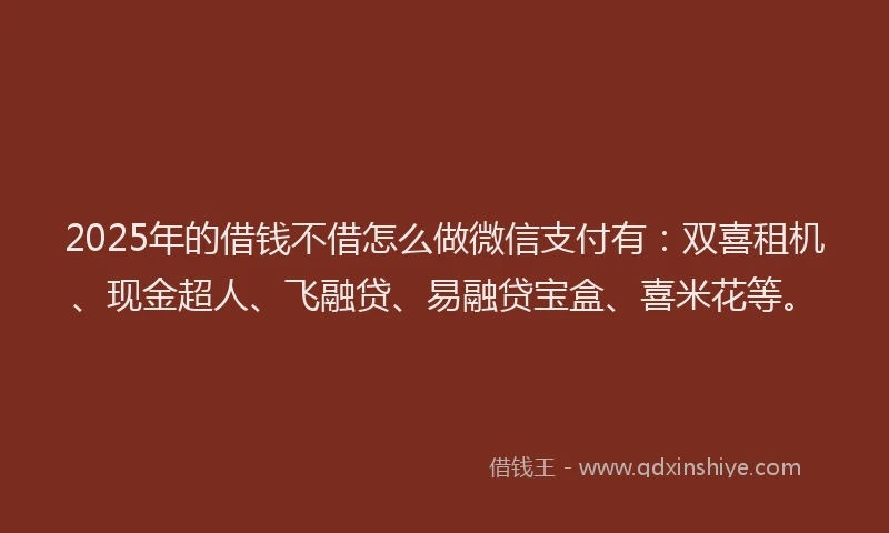 2025年的借钱不借怎么做微信支付有：双喜租机、现金超人、飞融贷、易融贷宝盒、喜米花等。