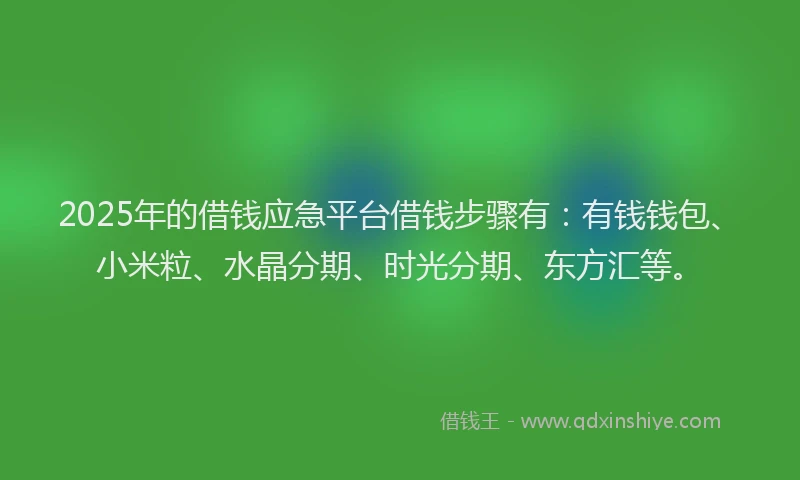 2025年的借钱应急平台借钱步骤有：有钱钱包、小米粒、水晶分期、时光分期、东方汇等。