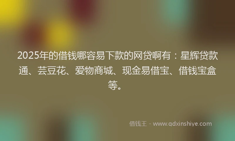 2025年的借钱哪容易下款的网贷啊有：星辉贷款通、芸豆花、爱物商城、现金易借宝、借钱宝盒等。