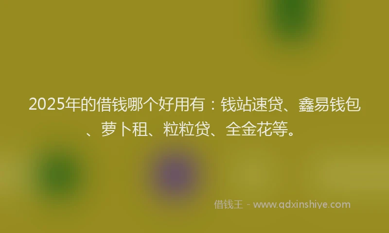 2025年的借钱哪个好用有：钱站速贷、鑫易钱包、萝卜租、粒粒贷、全金花等。