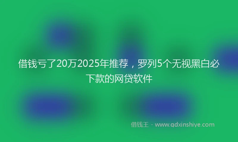 借钱亏了20万2025年推荐，罗列5个无视黑白必下款的网贷软件
