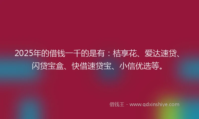 2025年的借钱一千的是有：桔享花、爱达速贷、闪贷宝盒、快借速贷宝、小信优选等。