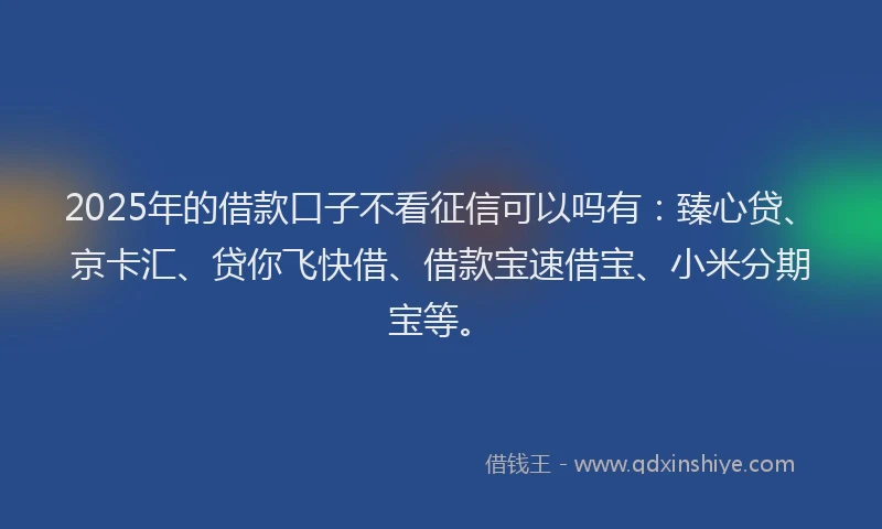 2025年的借款口子不看征信可以吗有：臻心贷、京卡汇、贷你飞快借、借款宝速借宝、小米分期宝等。