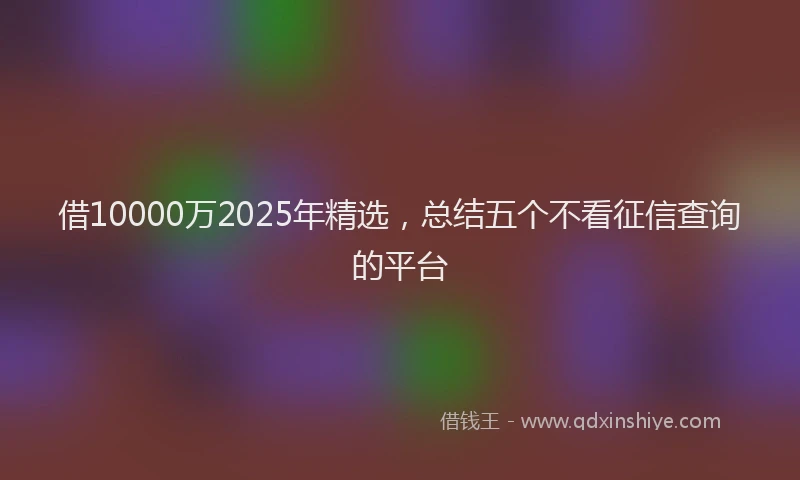 借10000万2025年精选，总结五个不看征信查询的平台