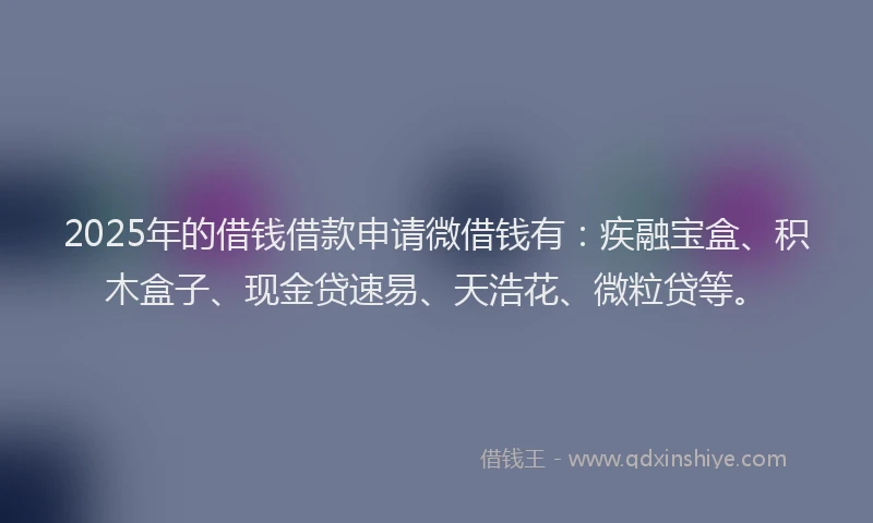 2025年的借钱借款申请微借钱有：疾融宝盒、积木盒子、现金贷速易、天浩花、微粒贷等。
