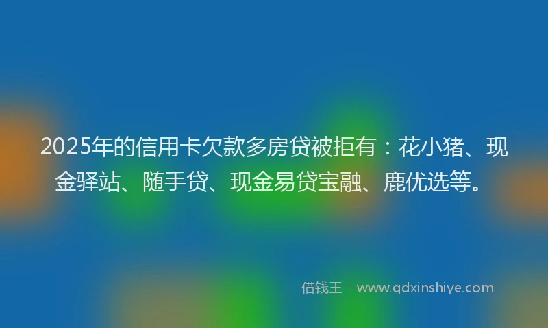 2025年的信用卡欠款多房贷被拒有：花小猪、现金驿站、随手贷、现金易贷宝融、鹿优选等。