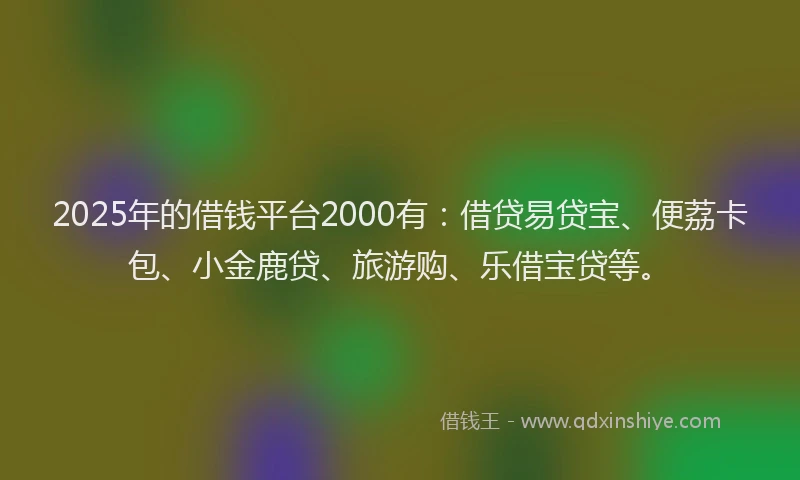 2025年的借钱平台2000有：借贷易贷宝、便荔卡包、小金鹿贷、旅游购、乐借宝贷等。