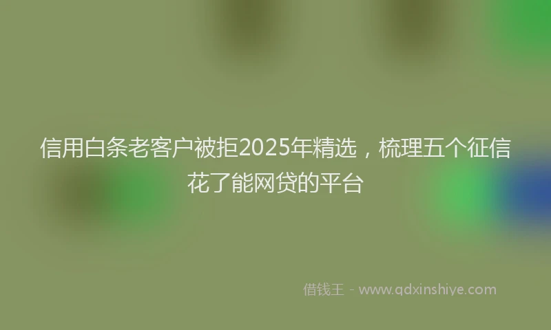 信用白条老客户被拒2025年精选，梳理五个征信花了能网贷的平台