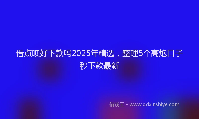 借点呗好下款吗2025年精选，整理5个高炮口子秒下款最新