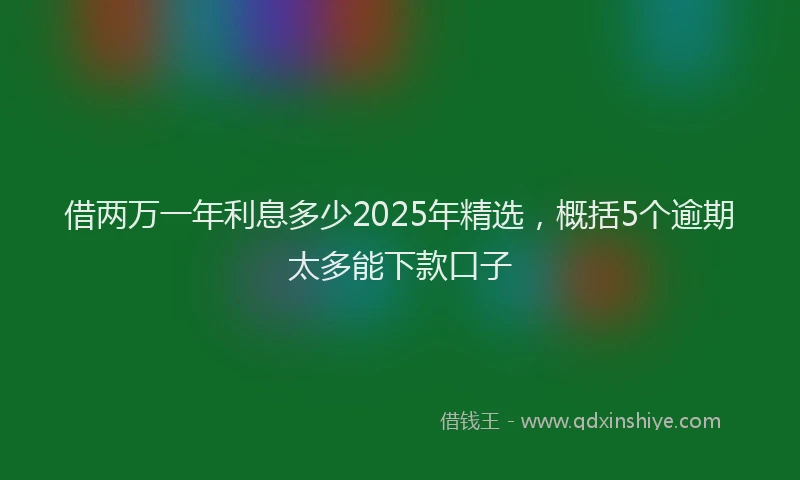 借两万一年利息多少2025年精选，概括5个逾期太多能下款口子