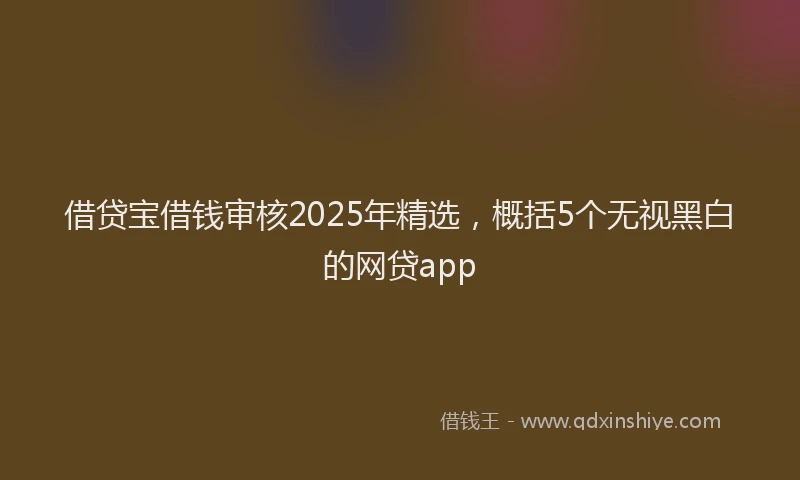 借贷宝借钱审核2025年精选，概括5个无视黑白的网贷app