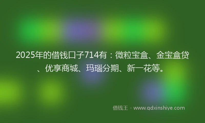2025年的借钱口子714有：微粒宝盒、金宝盒贷、优享商城、玛瑙分期、新一花等。