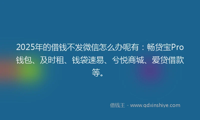 2025年的借钱不发微信怎么办呢有：畅贷宝Pro钱包、及时租、钱袋速易、兮悦商城、爱贷借款等。