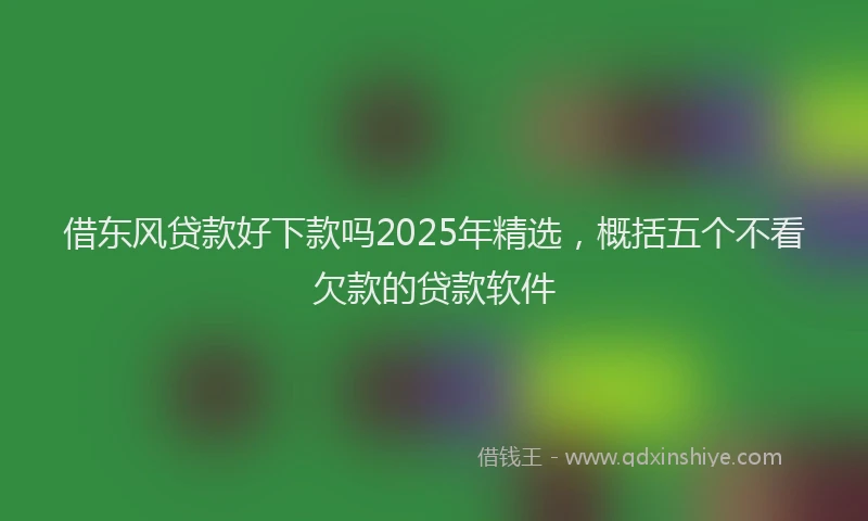 借东风贷款好下款吗2025年精选，概括五个不看欠款的贷款软件