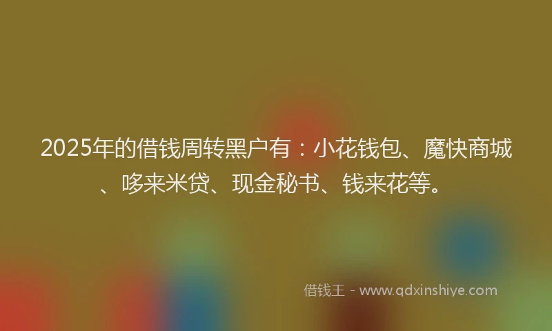 2025年的借钱周转黑户有：小花钱包、魔快商城、哆来米贷、现金秘书、钱来花等。