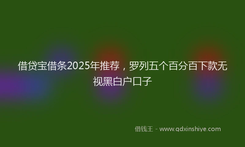 借贷宝借条2025年推荐，罗列五个百分百下款无视黑白户口子