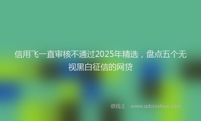 信用飞一直审核不通过2025年精选，盘点五个无视黑白征信的网贷