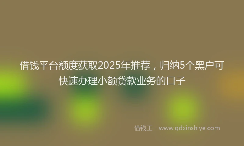 借钱平台额度获取2025年推荐，归纳5个黑户可快速办理小额贷款业务的口子