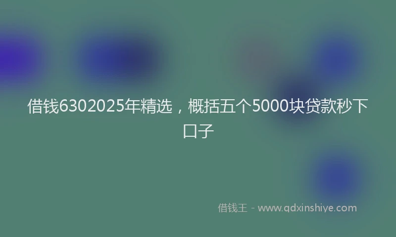 借钱6302025年精选，概括五个5000块贷款秒下口子