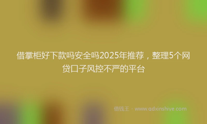 借掌柜好下款吗安全吗2025年推荐，整理5个网贷口子风控不严的平台