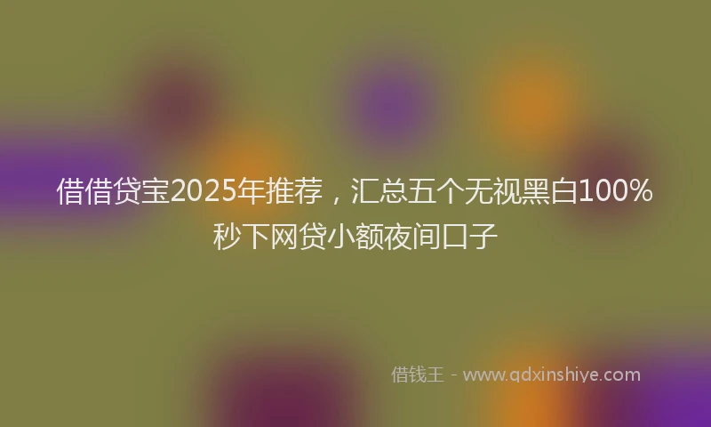 借借贷宝2025年推荐，汇总五个无视黑白100%秒下网贷小额夜间口子