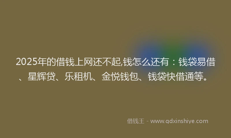 2025年的借钱上网还不起,钱怎么还有：钱袋易借、星辉贷、乐租机、金悦钱包、钱袋快借通等。