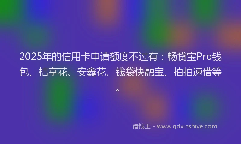 2025年的信用卡申请额度不过有：畅贷宝Pro钱包、桔享花、安鑫花、钱袋快融宝、拍拍速借等。