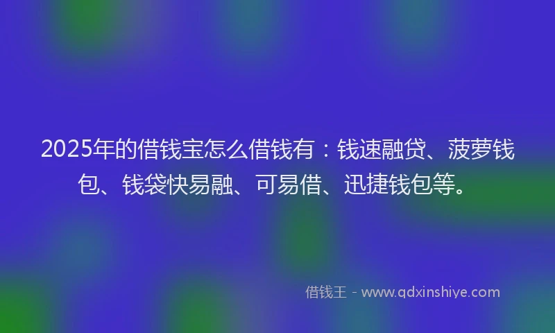 2025年的借钱宝怎么借钱有：钱速融贷、菠萝钱包、钱袋快易融、可易借、迅捷钱包等。