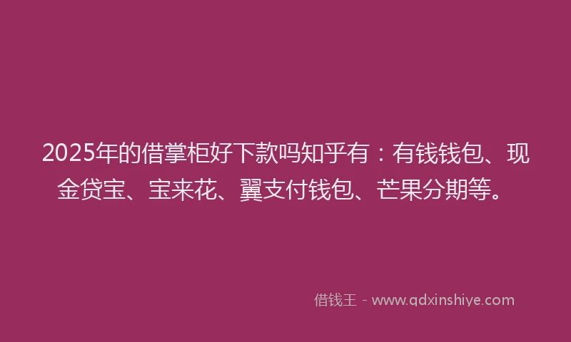 2025年的借掌柜好下款吗知乎有:有钱钱包、现金贷宝、宝来花、翼支付钱包、芒果分期等。