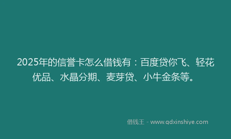 2025年的信誉卡怎么借钱有：百度贷你飞、轻花优品、水晶分期、麦芽贷、小牛金条等。