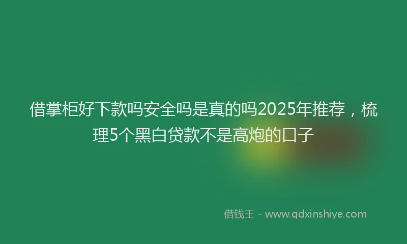 借掌柜好下款吗安全吗是真的吗2025年推荐，梳理5个黑白贷款不是高炮的口子