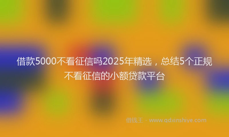借款5000不看征信吗2025年精选，总结5个正规不看征信的小额贷款平台