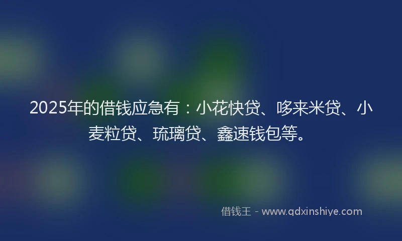 2025年的借钱应急有：小花快贷、哆来米贷、小麦粒贷、琉璃贷、鑫速钱包等。