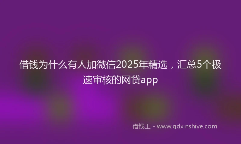 借钱为什么有人加微信2025年精选，汇总5个极速审核的网贷app
