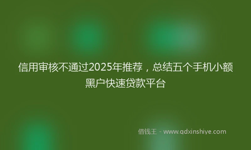 信用审核不通过2025年推荐，总结五个手机小额黑户快速贷款平台