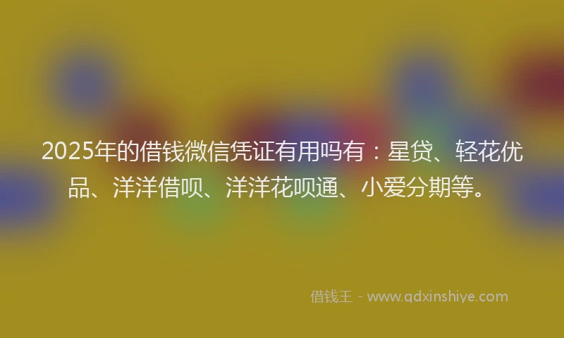 2025年的借钱微信凭证有用吗有：星贷、轻花优品、洋洋借呗、洋洋花呗通、小爱分期等。