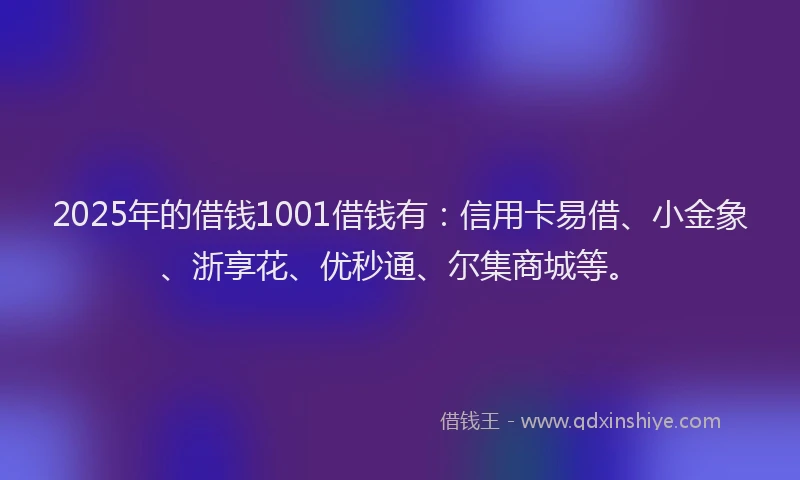 2025年的借钱1001借钱有：信用卡易借、小金象、浙享花、优秒通、尔集商城等。