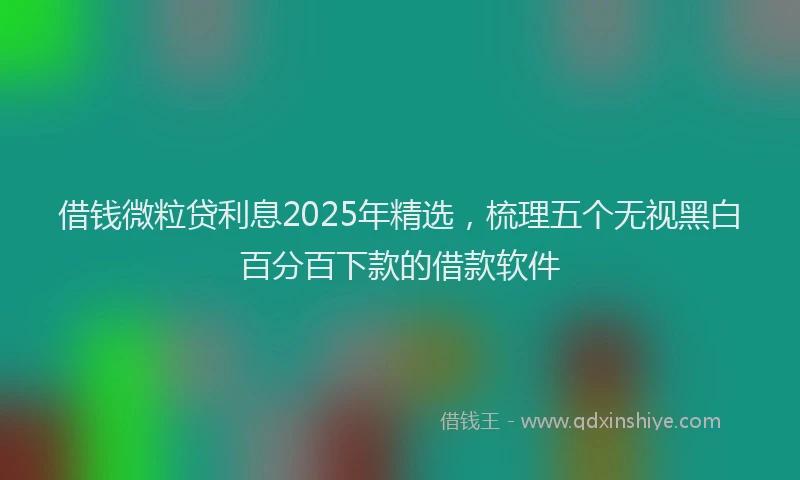 借钱微粒贷利息2025年精选，梳理五个无视黑白百分百下款的借款软件