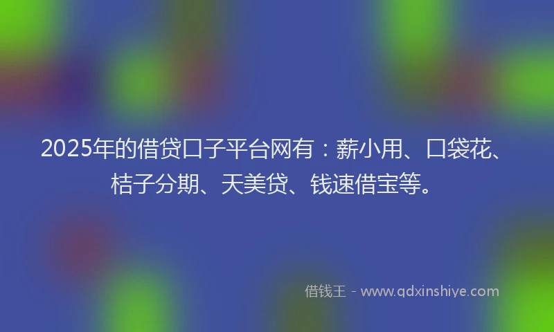 2025年的借贷口子平台网有：薪小用、口袋花、桔子分期、天美贷、钱速借宝等。