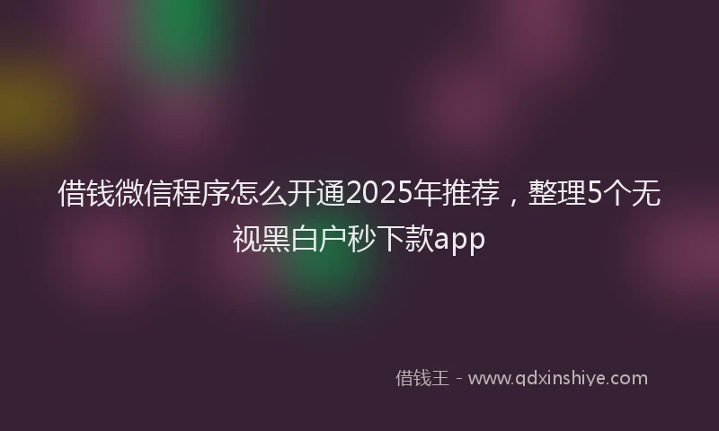 借钱微信程序怎么开通2025年推荐，整理5个无视黑白户秒下款app