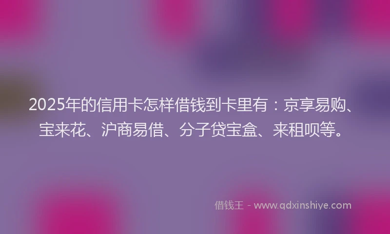 2025年的信用卡怎样借钱到卡里有：京享易购、宝来花、沪商易借、分子贷宝盒、来租呗等。