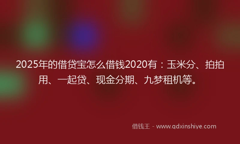 2025年的借贷宝怎么借钱2020有：玉米分、拍拍用、一起贷、现金分期、九梦租机等。