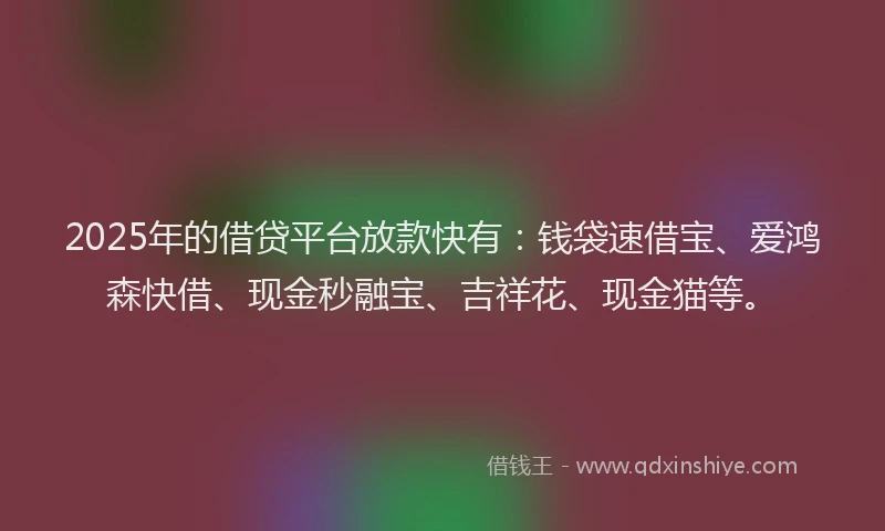 2025年的借贷平台放款快有：钱袋速借宝、爱鸿森快借、现金秒融宝、吉祥花、现金猫等。