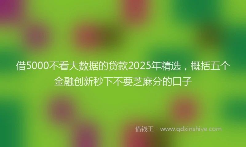 借5000不看大数据的贷款2025年精选，概括五个金融创新秒下不要芝麻分的口子