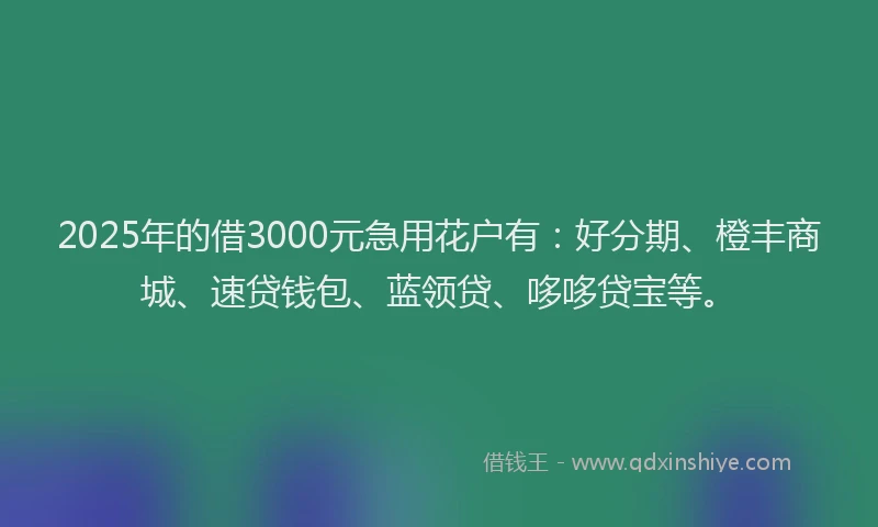2025年的借3000元急用花户有:好分期、橙丰商城、速贷钱包、蓝领贷、哆哆贷宝等。