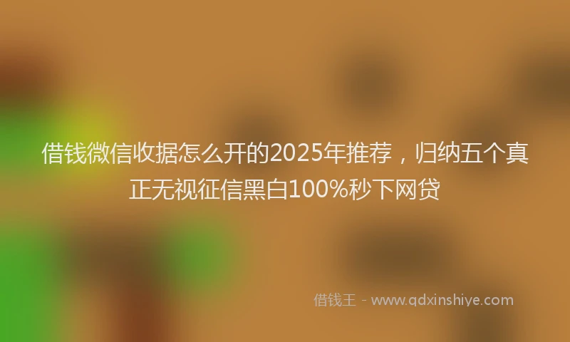 借钱微信收据怎么开的2025年推荐，归纳五个真正无视征信黑白100%秒下网贷