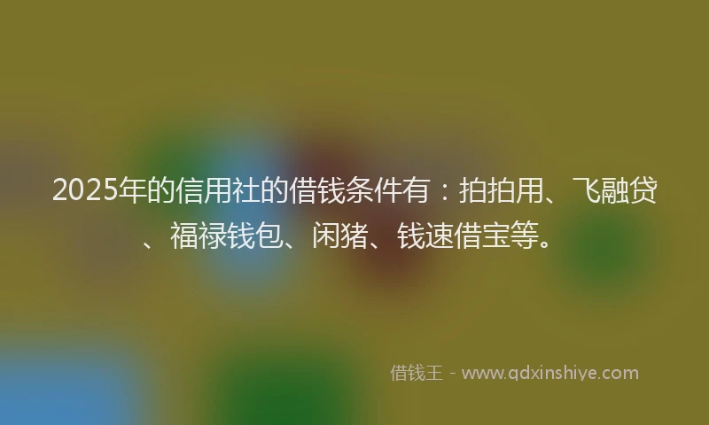 2025年的信用社的借钱条件有：拍拍用、飞融贷、福禄钱包、闲猪、钱速借宝等。