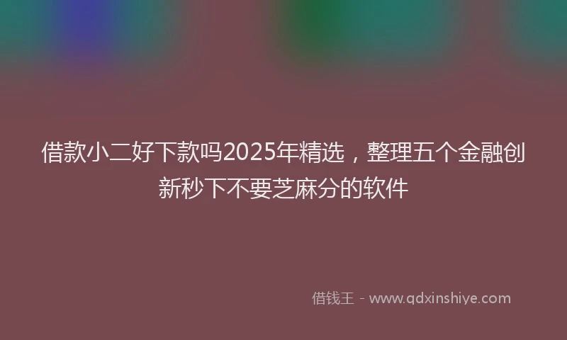 借款小二好下款吗2025年精选，整理五个金融创新秒下不要芝麻分的软件